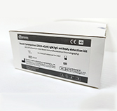 Novel coronavirus reagents